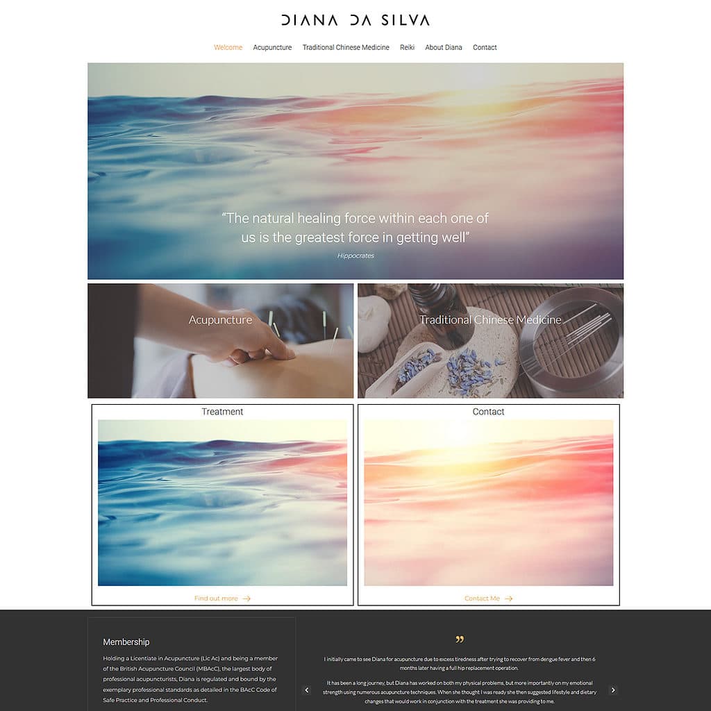 Diana Da Silva website