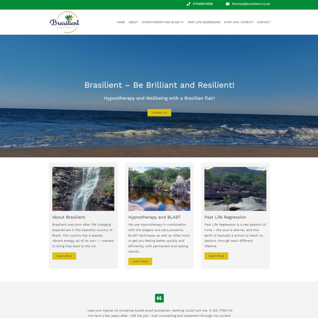 Brasillient website