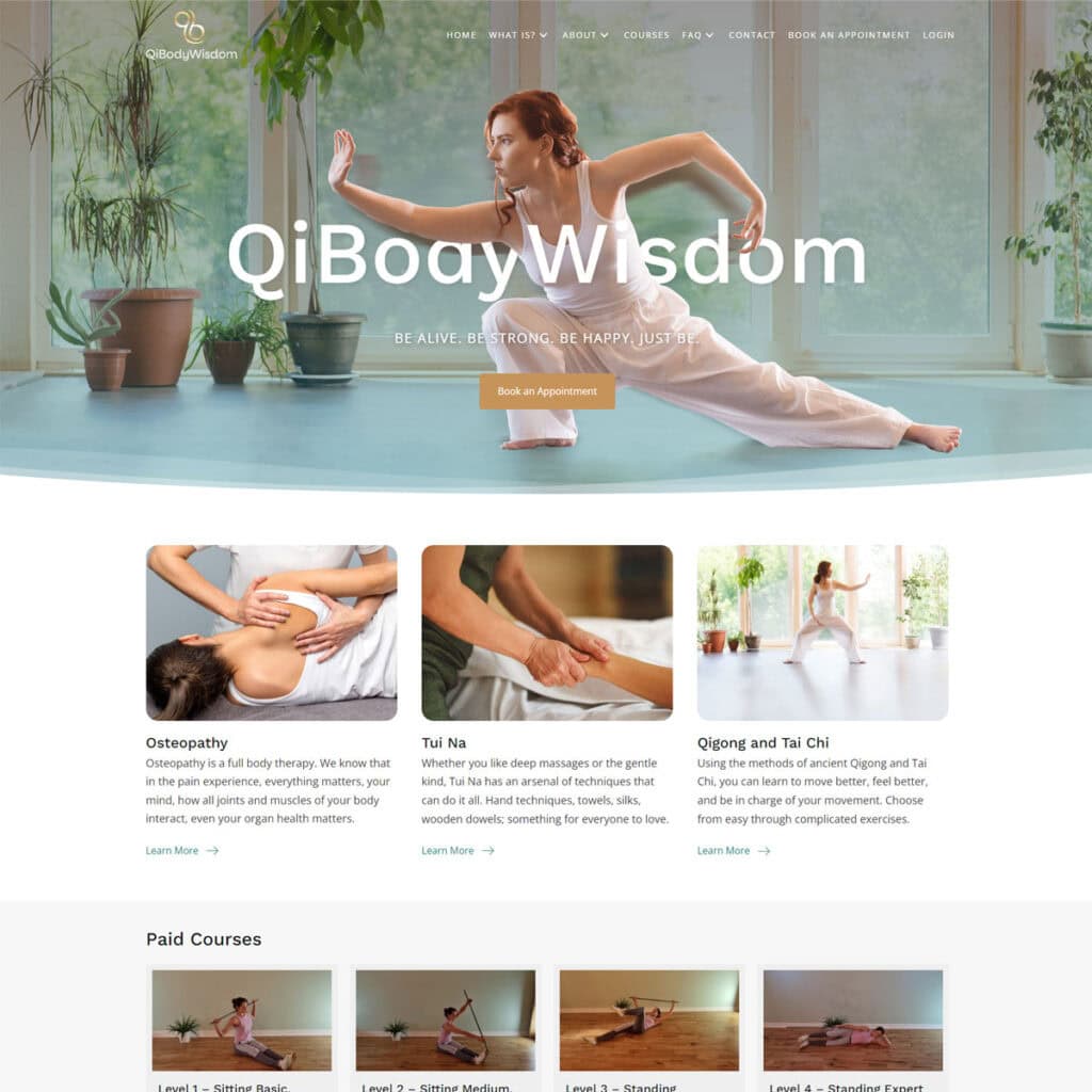 QiBody Wisdom website