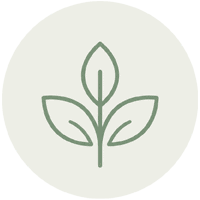 Beautiful, on-brand websites that build trust and reflect your practice